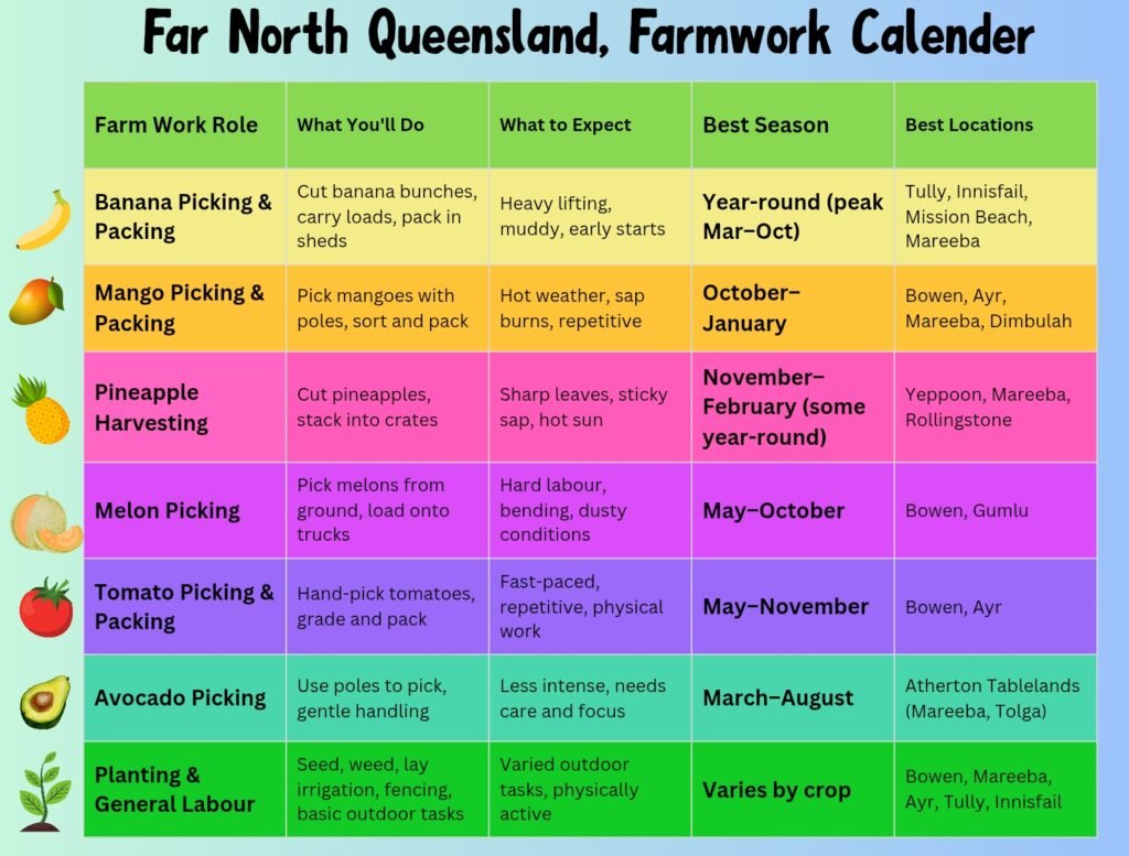 A Calendar detailing different types of seasonal farm work available in North Queensland. Including banana, mango, and pineapple harvest. Includes job descriptions and weather. Best towns to work and best times of year for each seasonal farmwork jobs.