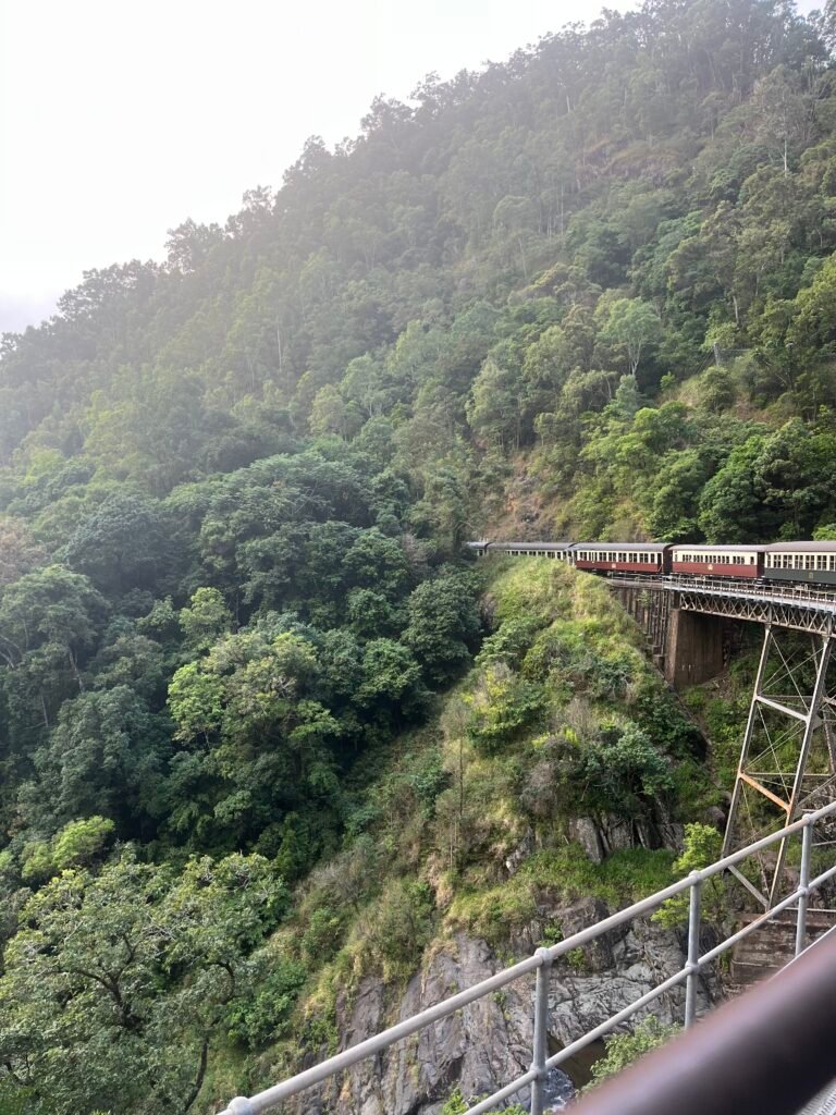 Kuranda scenic railway train travelling through the Atherton tablelands