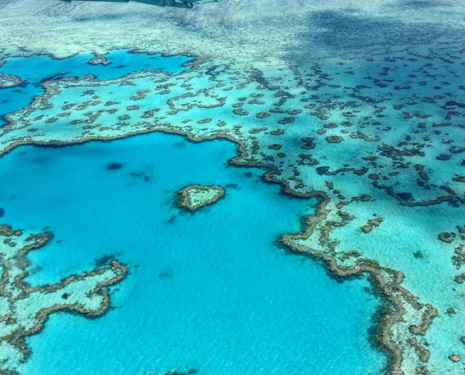 Heart Reef: a heart shaped coral formation in stunning blue waters on the Great Barrier Reef